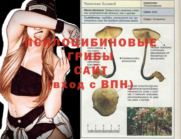 метадон Алексеевка