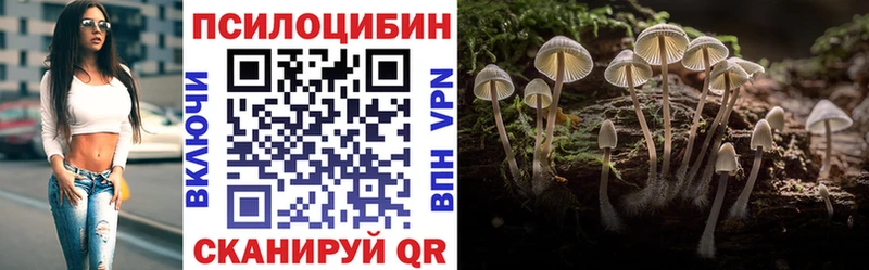 кракен зеркало  цена   Петушки  Псилоцибиновые грибы Magic Shrooms 